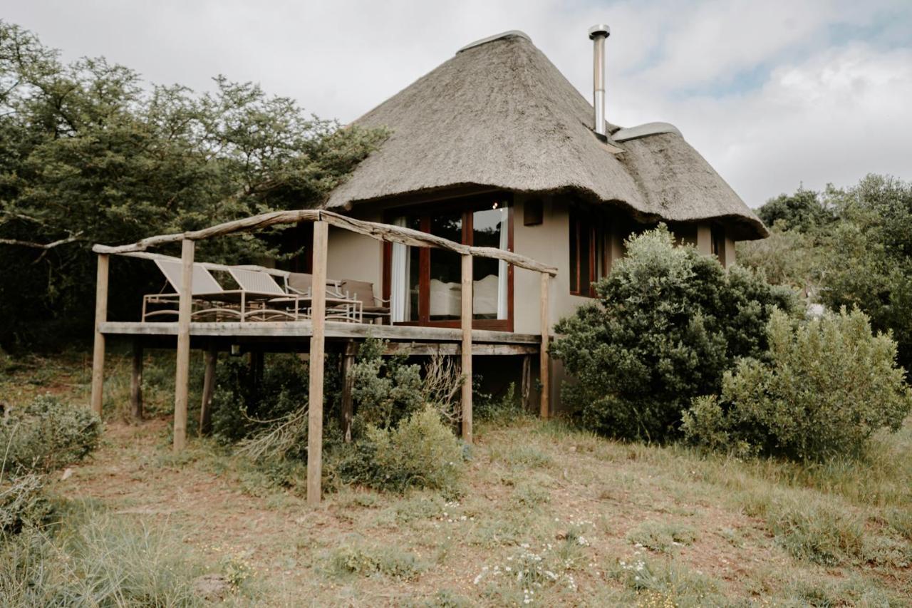Bukela Game Lodge - Amakhala Game Reserve Exterior photo